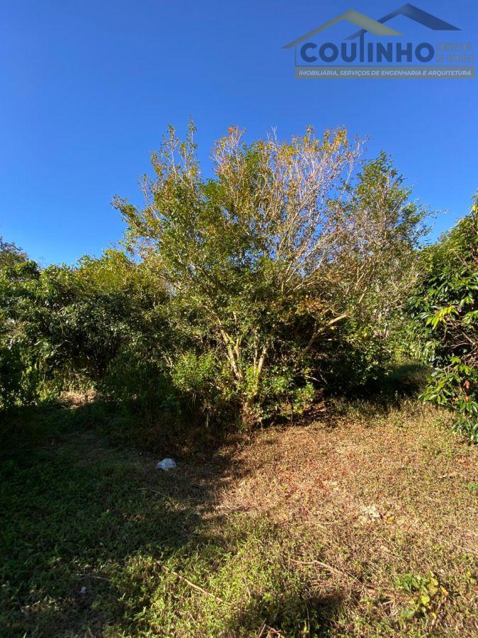 WhatsApp Image 2025-08-01 at 09.06.31 (17).jpeg